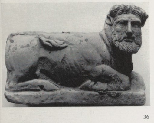 manheaded bull .jpg