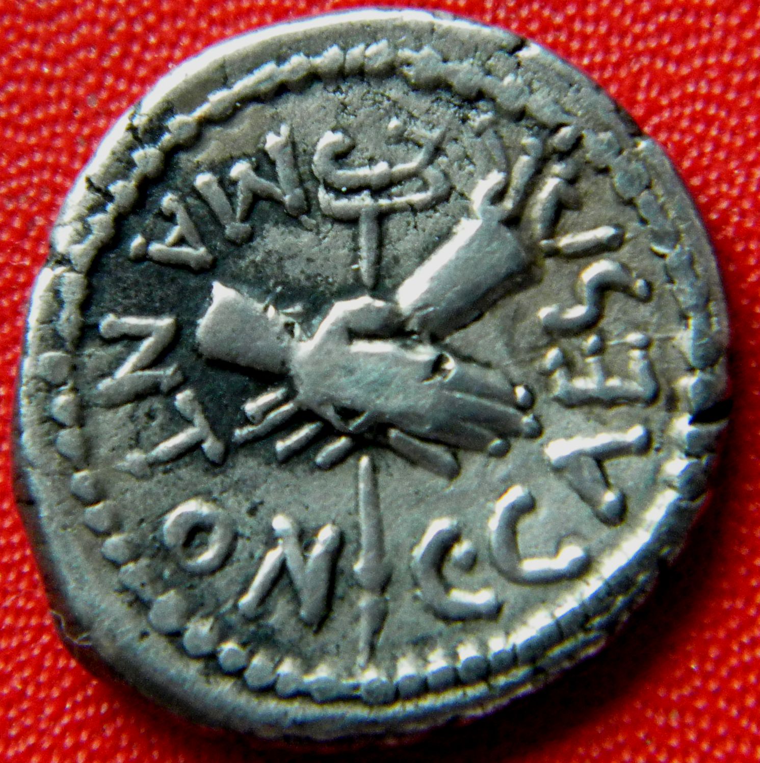 MAntoniusQrev.jpg