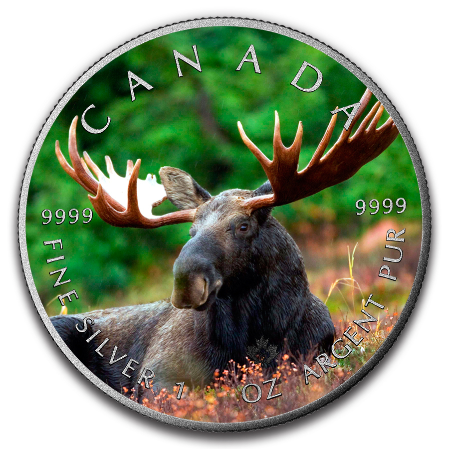 maple-animals-flag-16-front-6_MOOSE__57803.1502073566.jpg