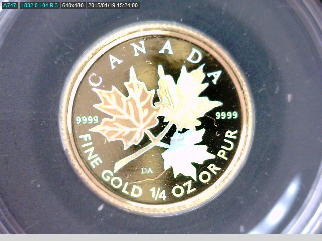 Maple leaf Hologram Rev. 2001.jpg