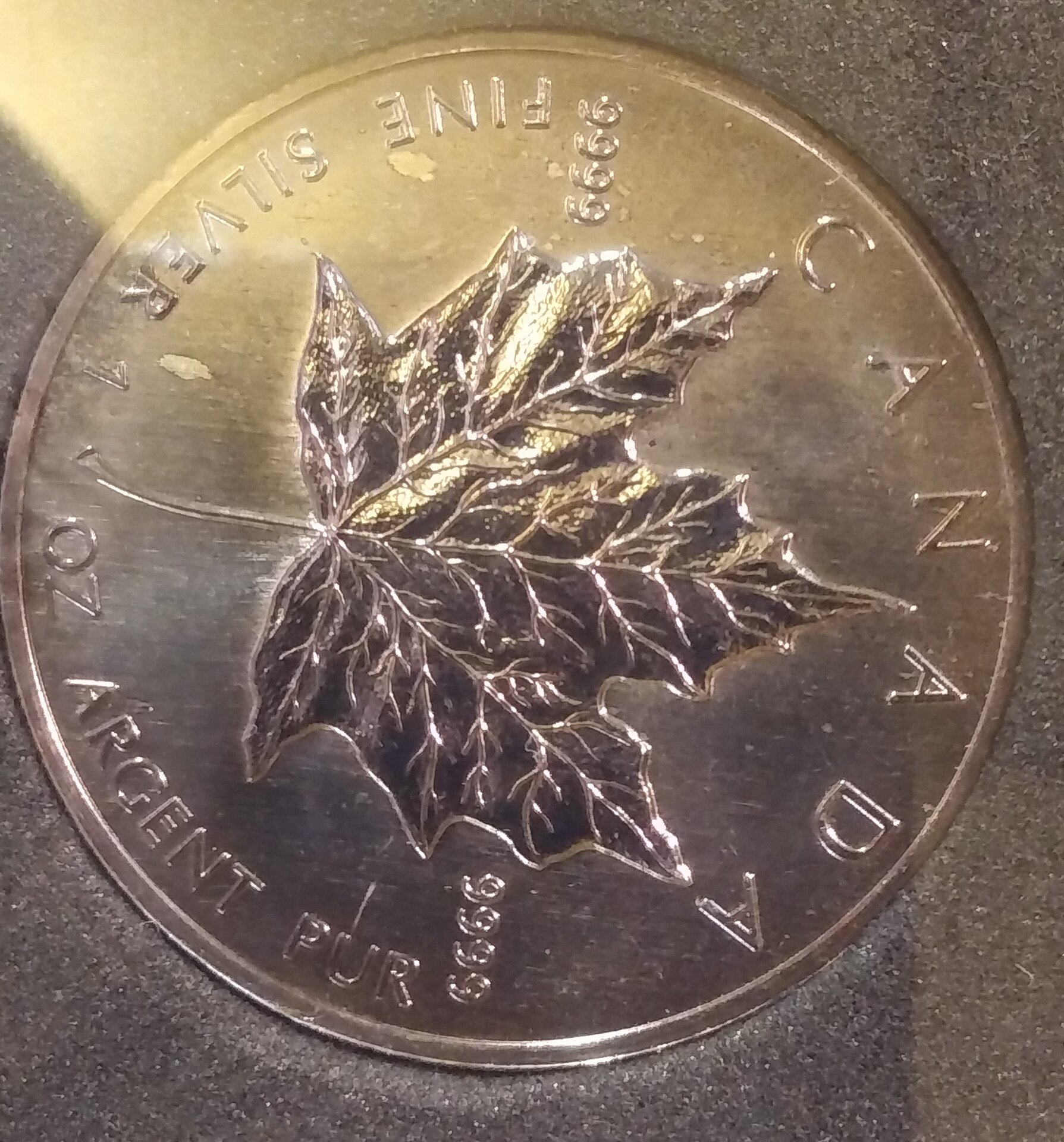 Maple Leaf reverse.jpg