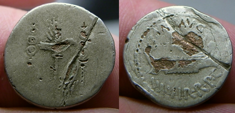 marc_antony.jpg