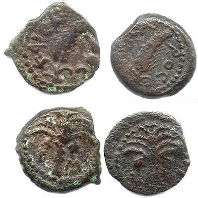 Marcus Ambibulus Procurator Judaea AE Prutah X2 Ex Hendin, Sinski.jpg