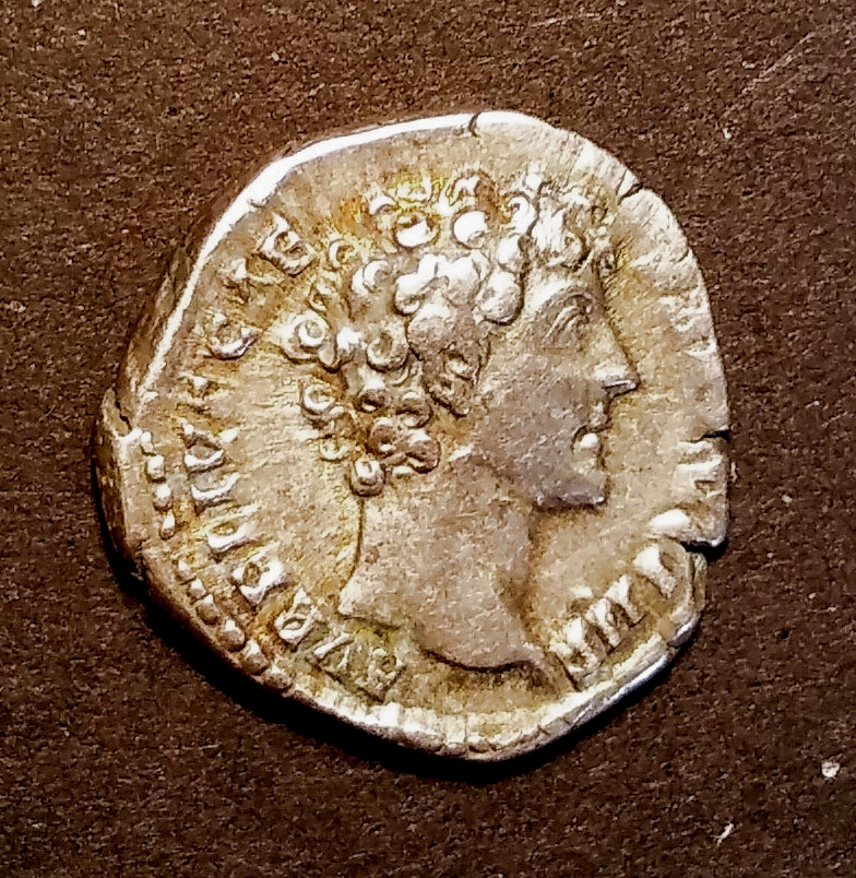 Marcus Aurelius Caesar DML coin Obv. RIC 429(a), RSC 110, beardless.jpg