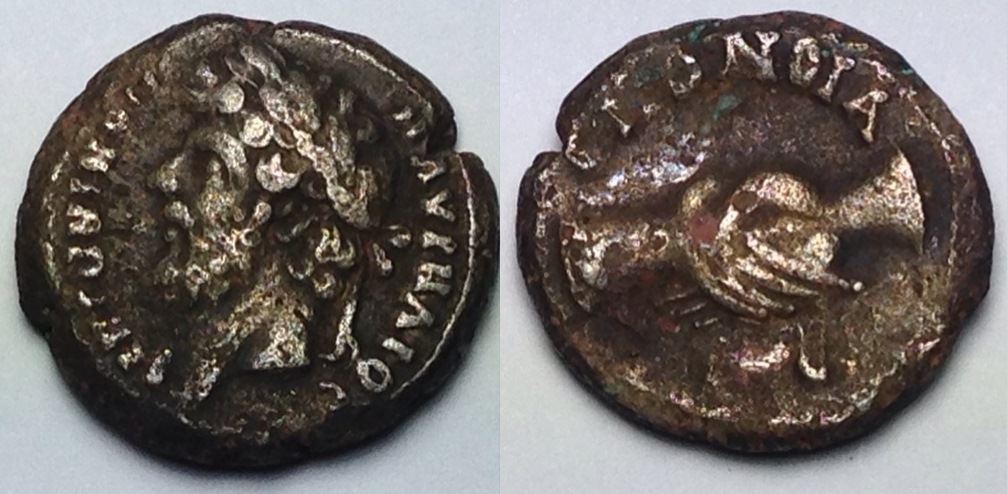 Marcus Aurelius Egypt tetradrachm OMONIA.jpg