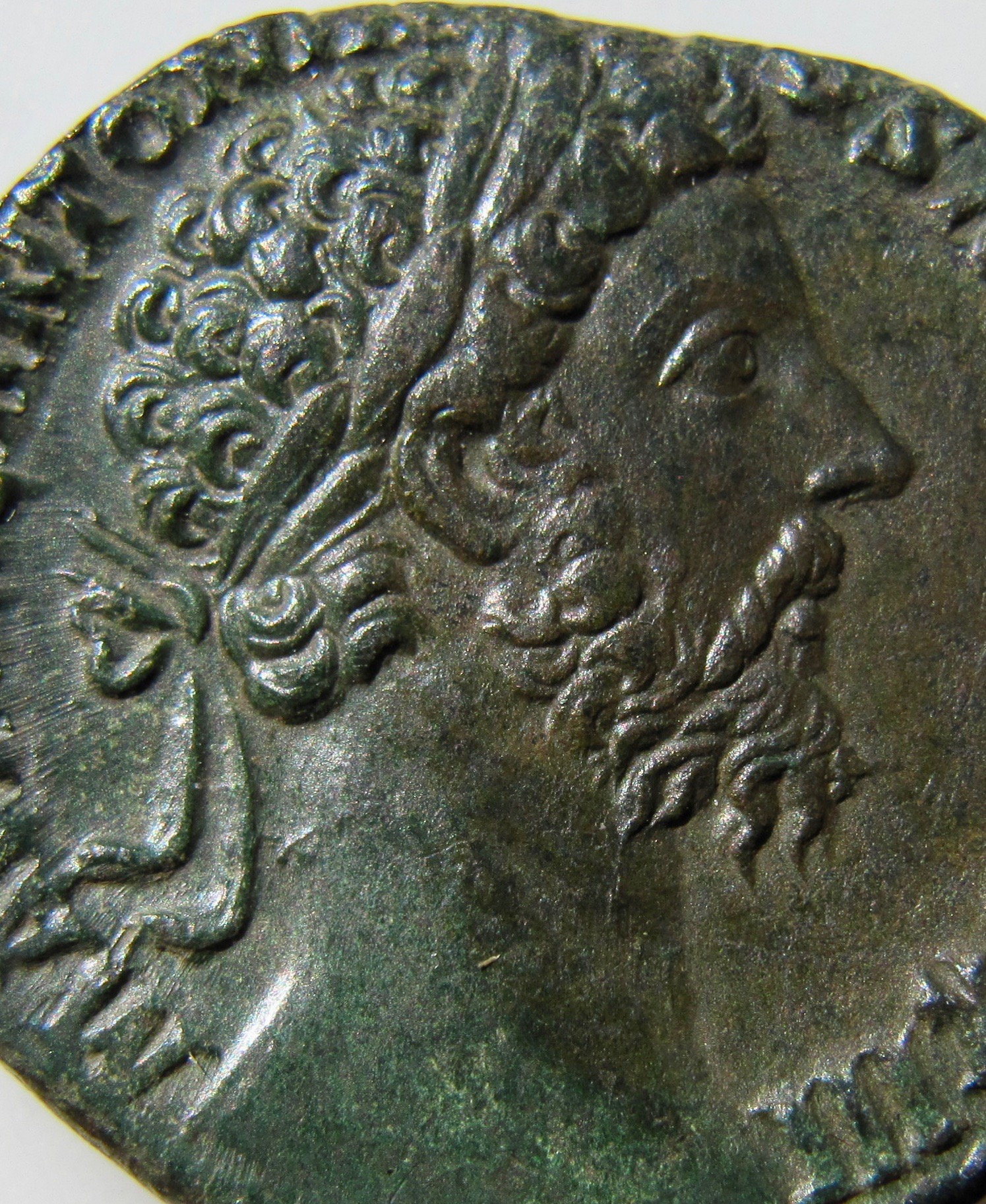 Marcus Aurelius SEstertius - close up head  - 1.jpg