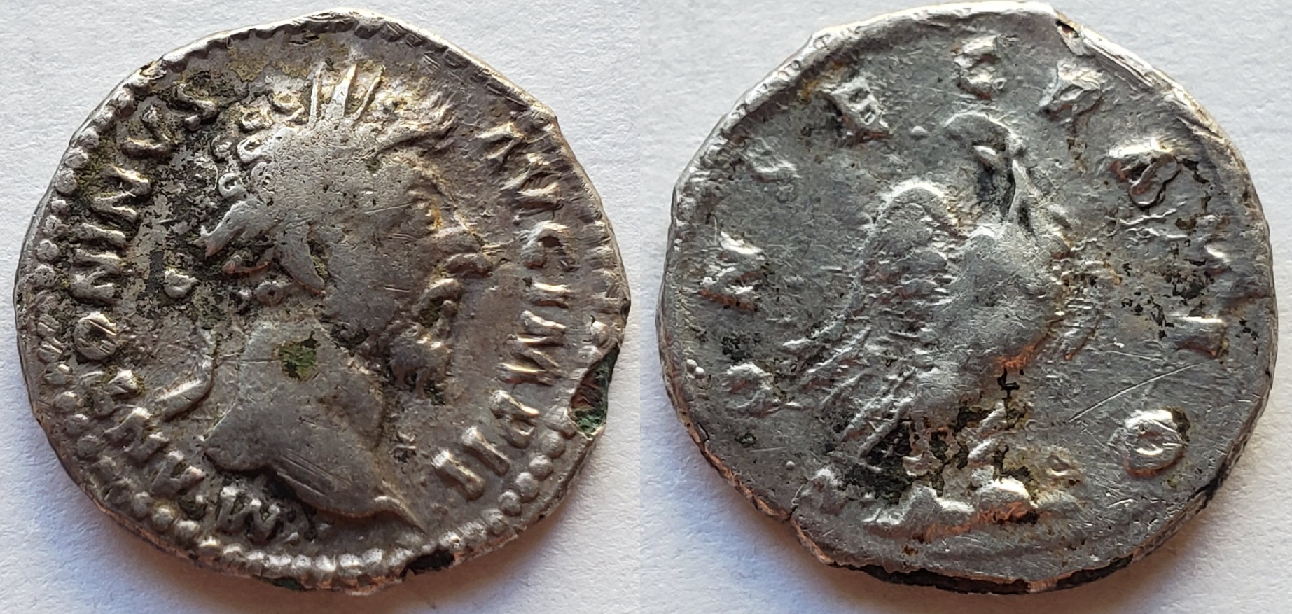marcus aurelius verus fourree mule.jpg