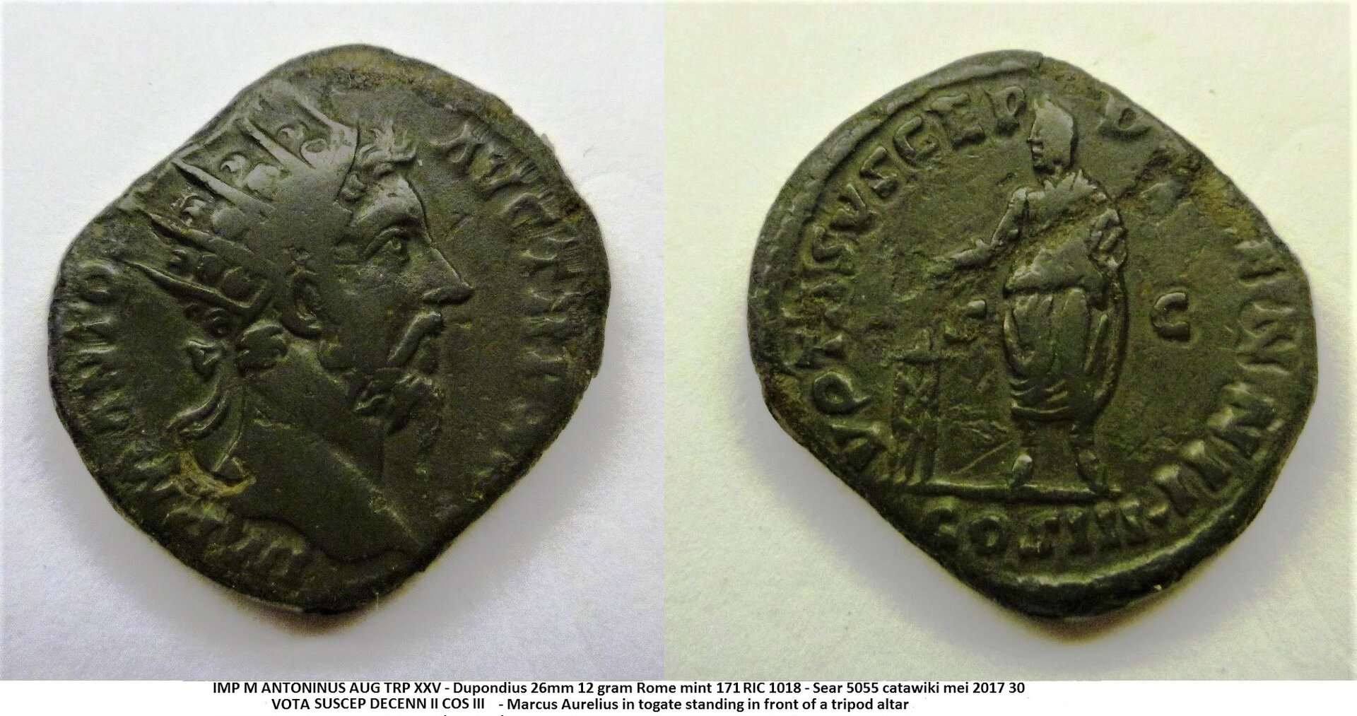 Marcus Aurelius vota (2).jpg