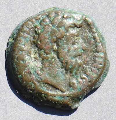 MarcusEgyptLionO400.JPG