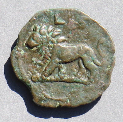 MarcusEgyptLionR400.JPG