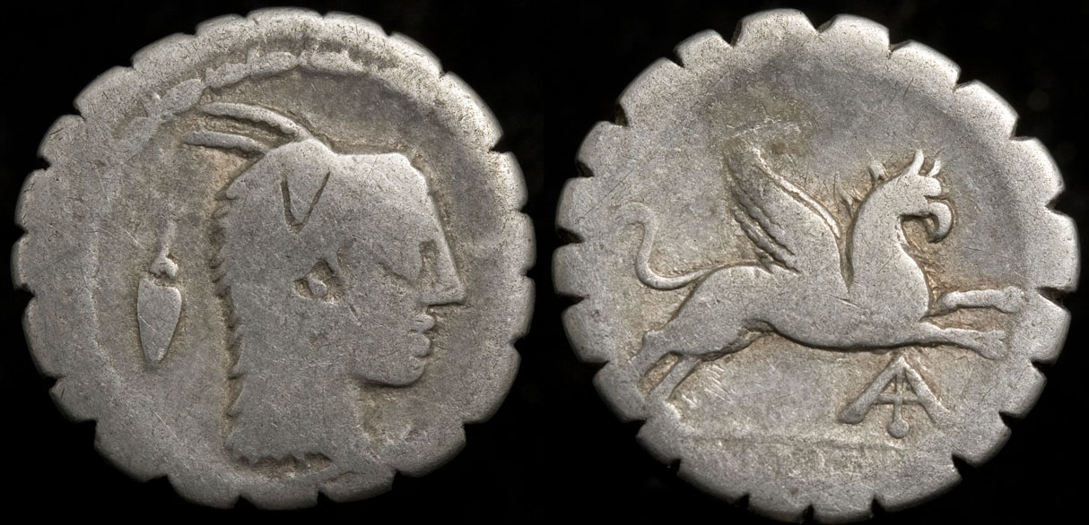 maridvnvm papia_1v_img.jpg