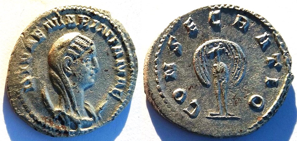 Mariniana 1.jpg