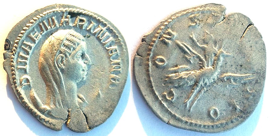 Mariniana 2.jpg