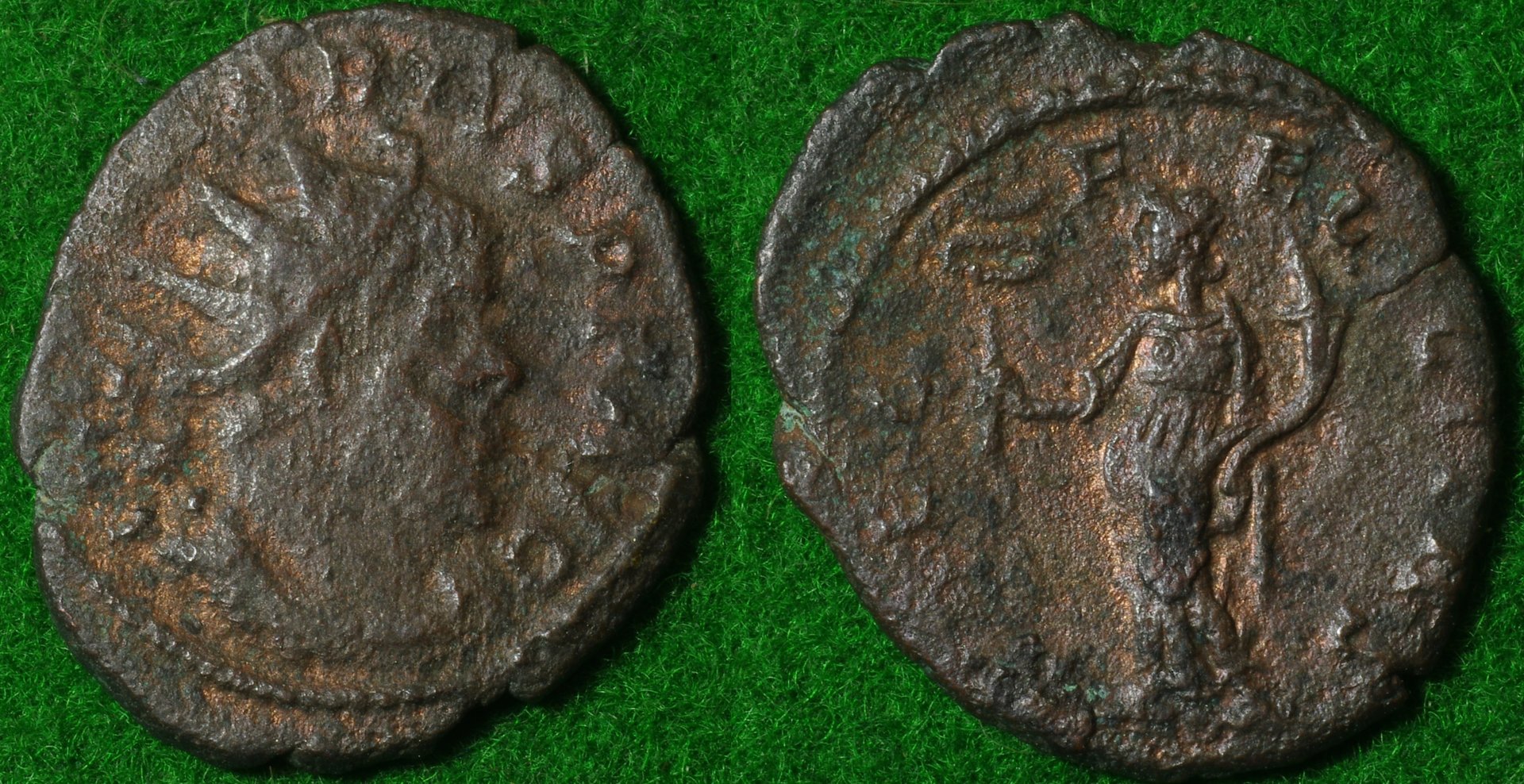 Marius 1-horz.jpg