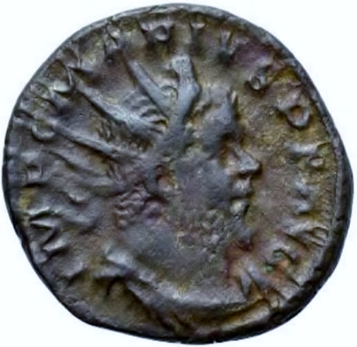 marius (2).jpg