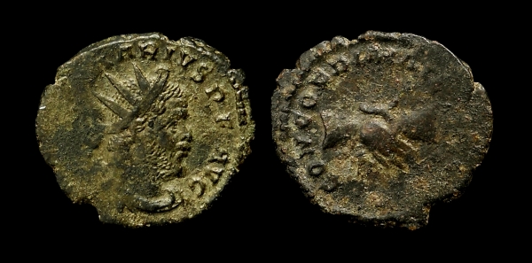 marius 6.jpg