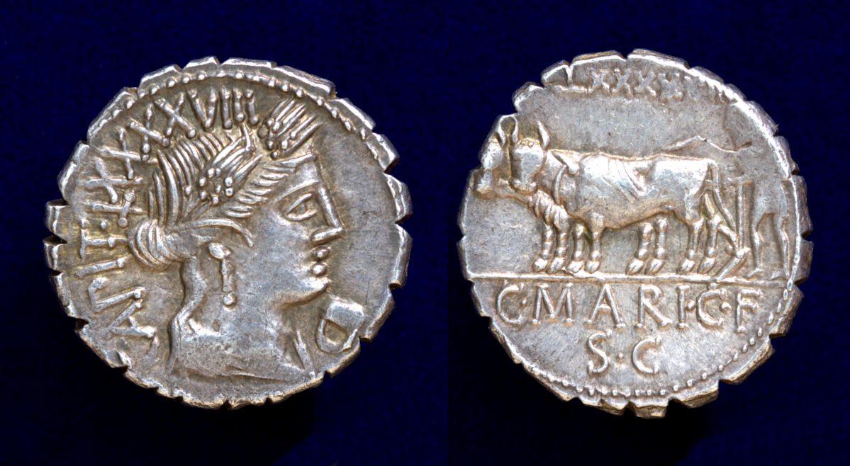 Marius Capito 1c.jpg