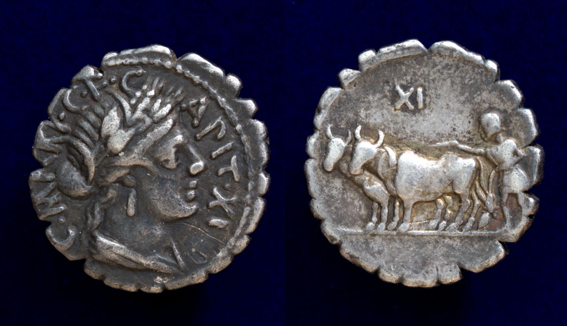Marius Capito XI.jpg
