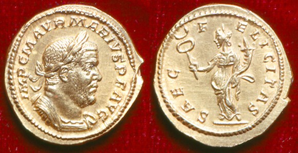 marius1.jpg