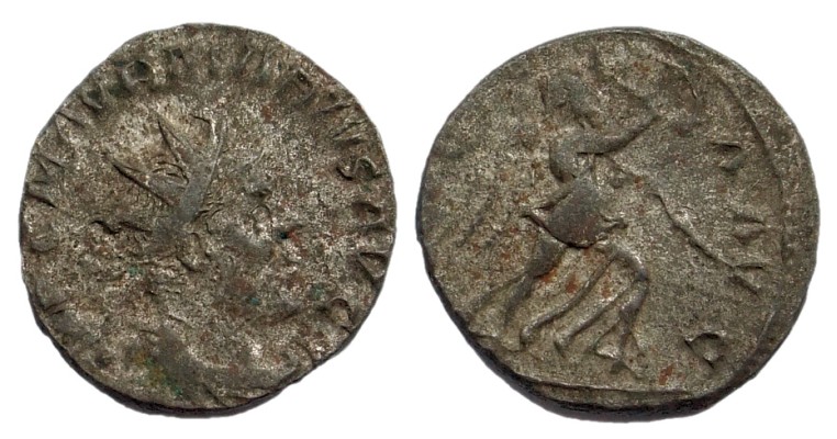 marius400.jpg