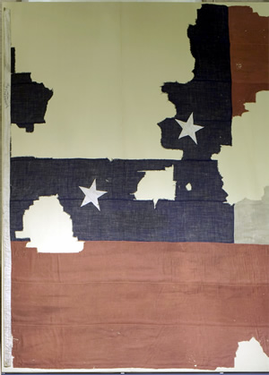 Marshall House flag.jpg