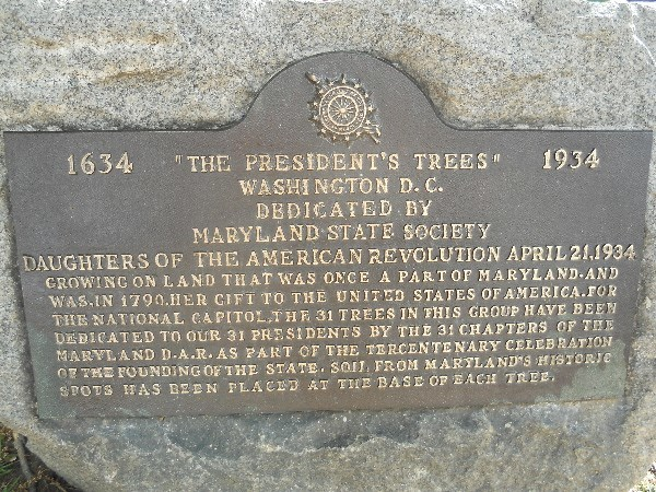 Maryland Tree 2.png
