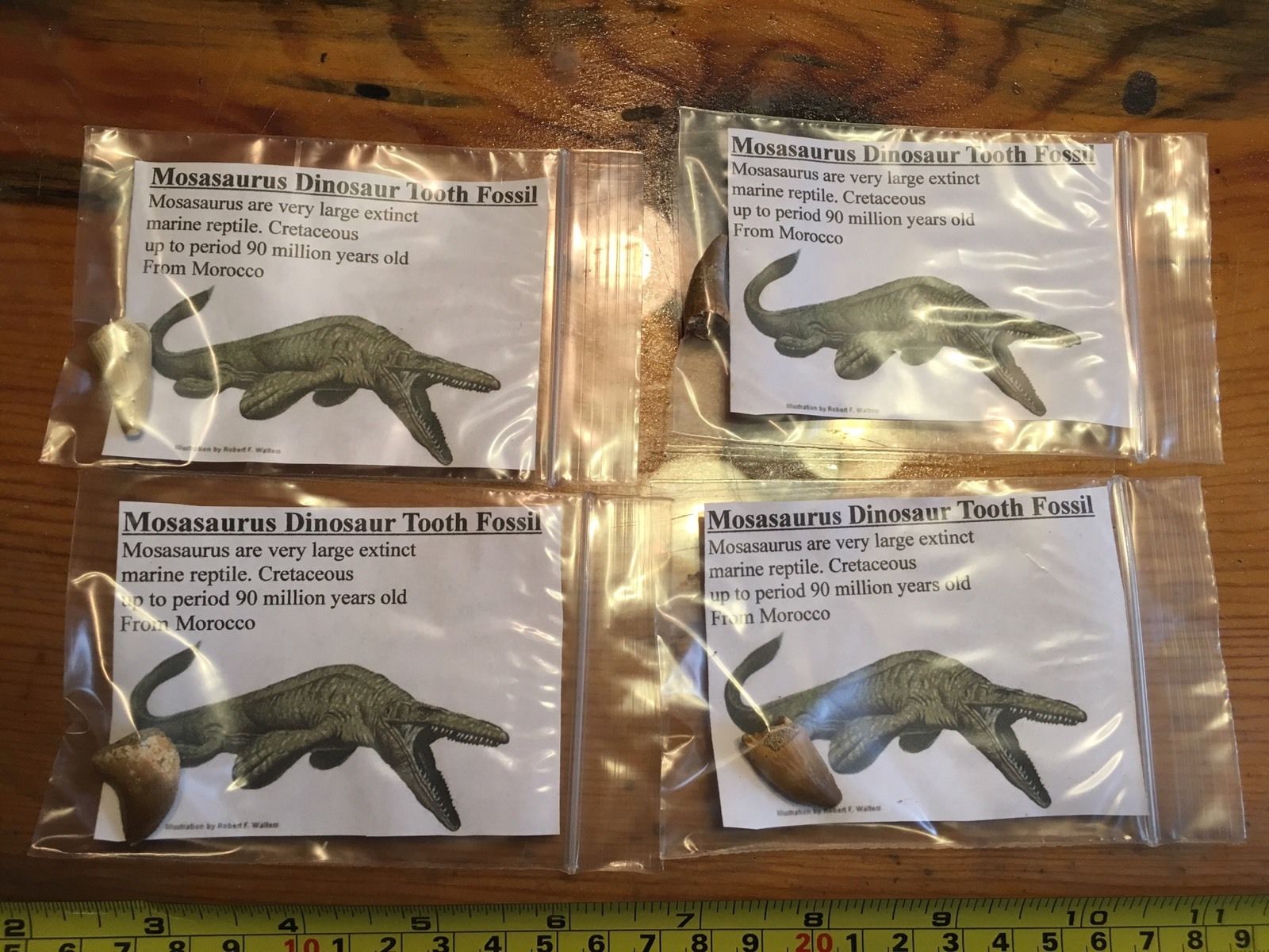 masasaur.jpg