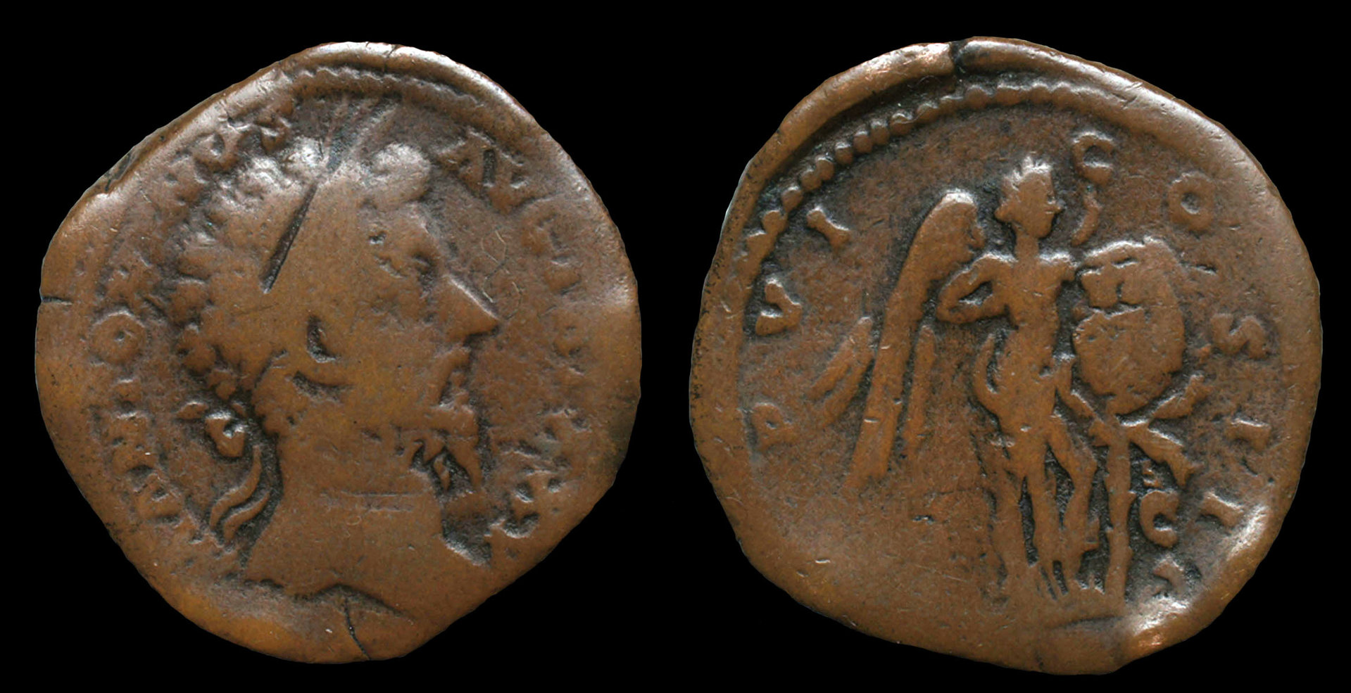 MAsestertius.jpg