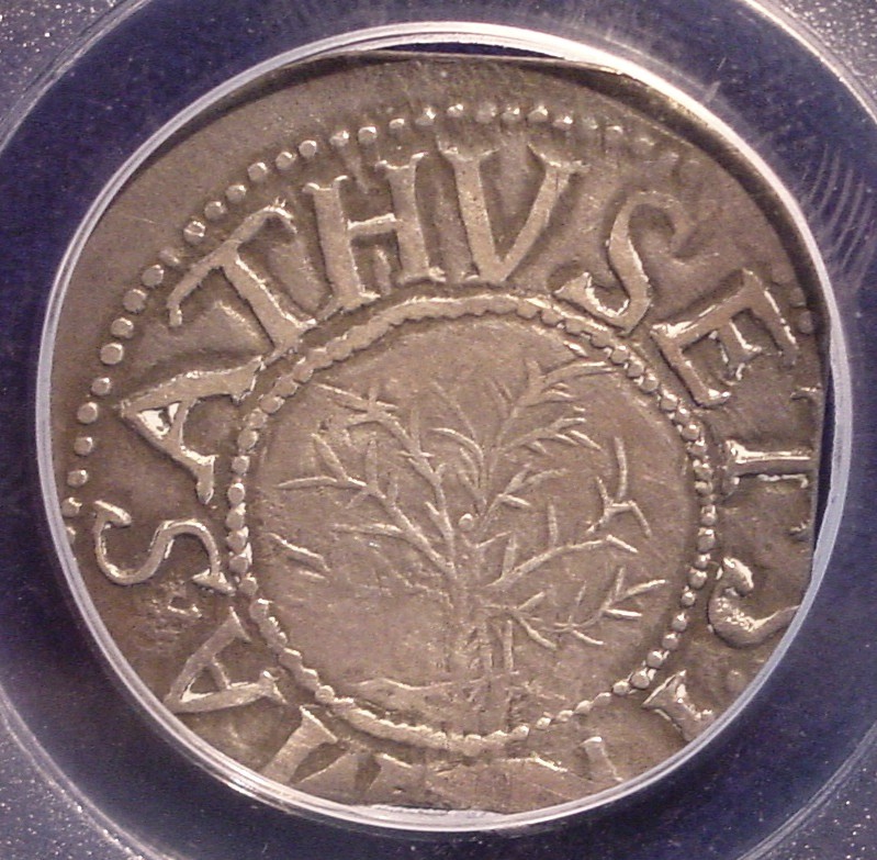 Mass Oak Shil N 4 O.jpg