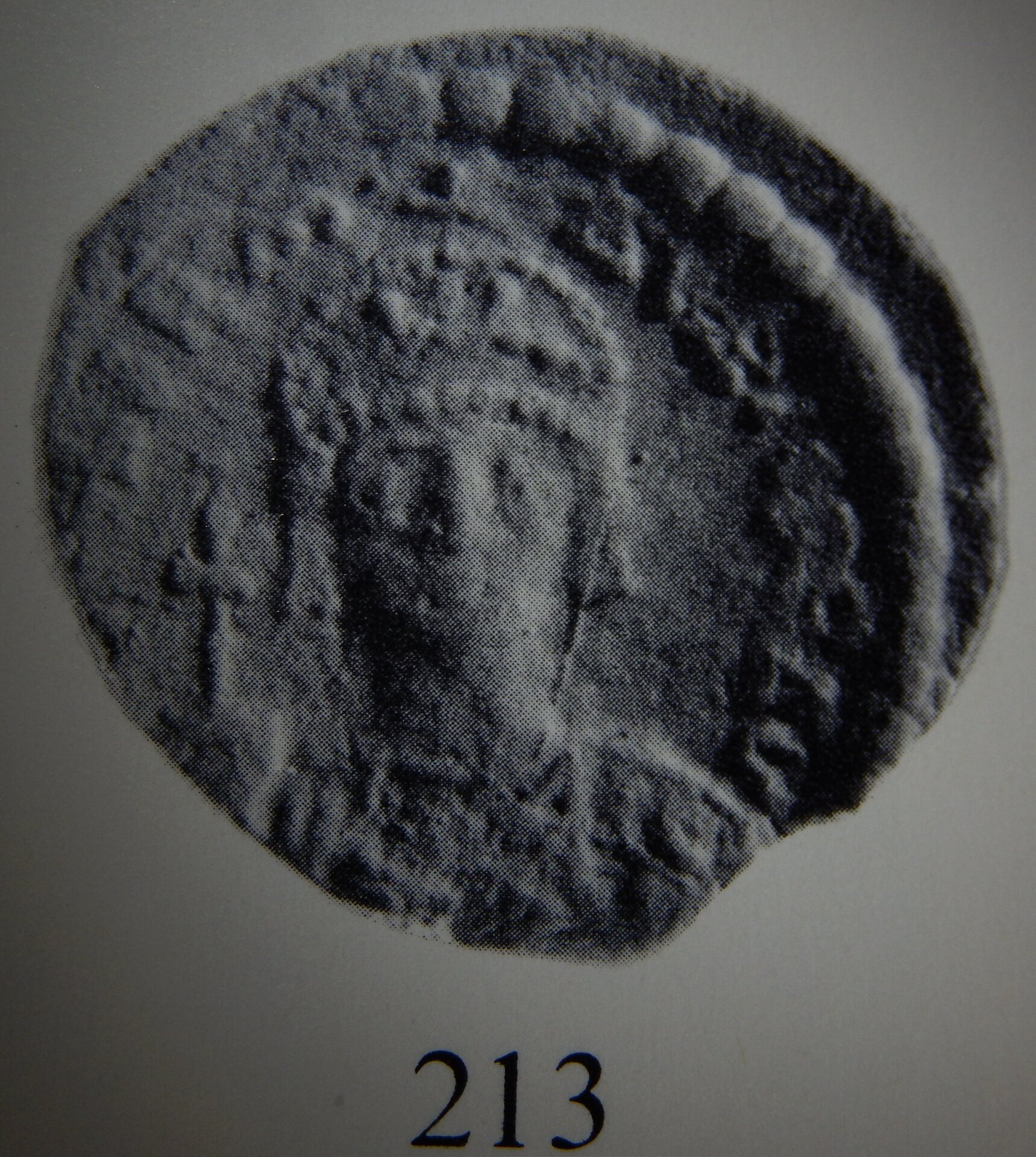Maurice_Tiberius_Crown_With_Cross_Grierson_Page_354_Plate_9_Part_3.jpg