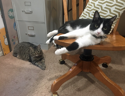 Max and Amelia2.jpg