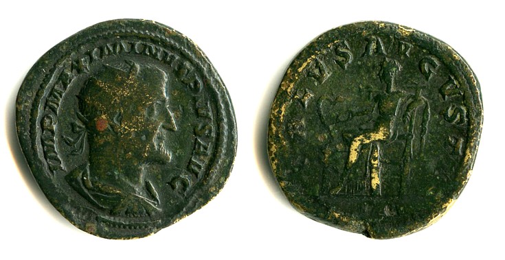 Max le Thrax dupondius.jpg