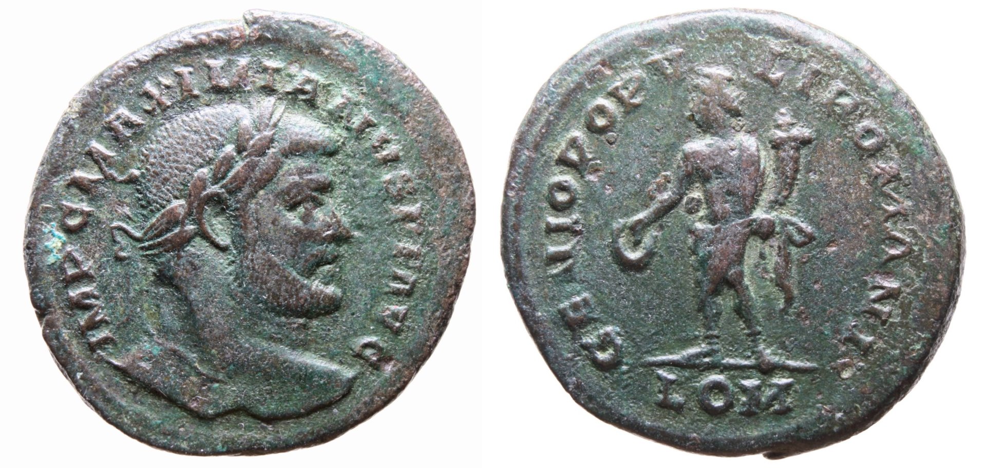max lon follis.jpg