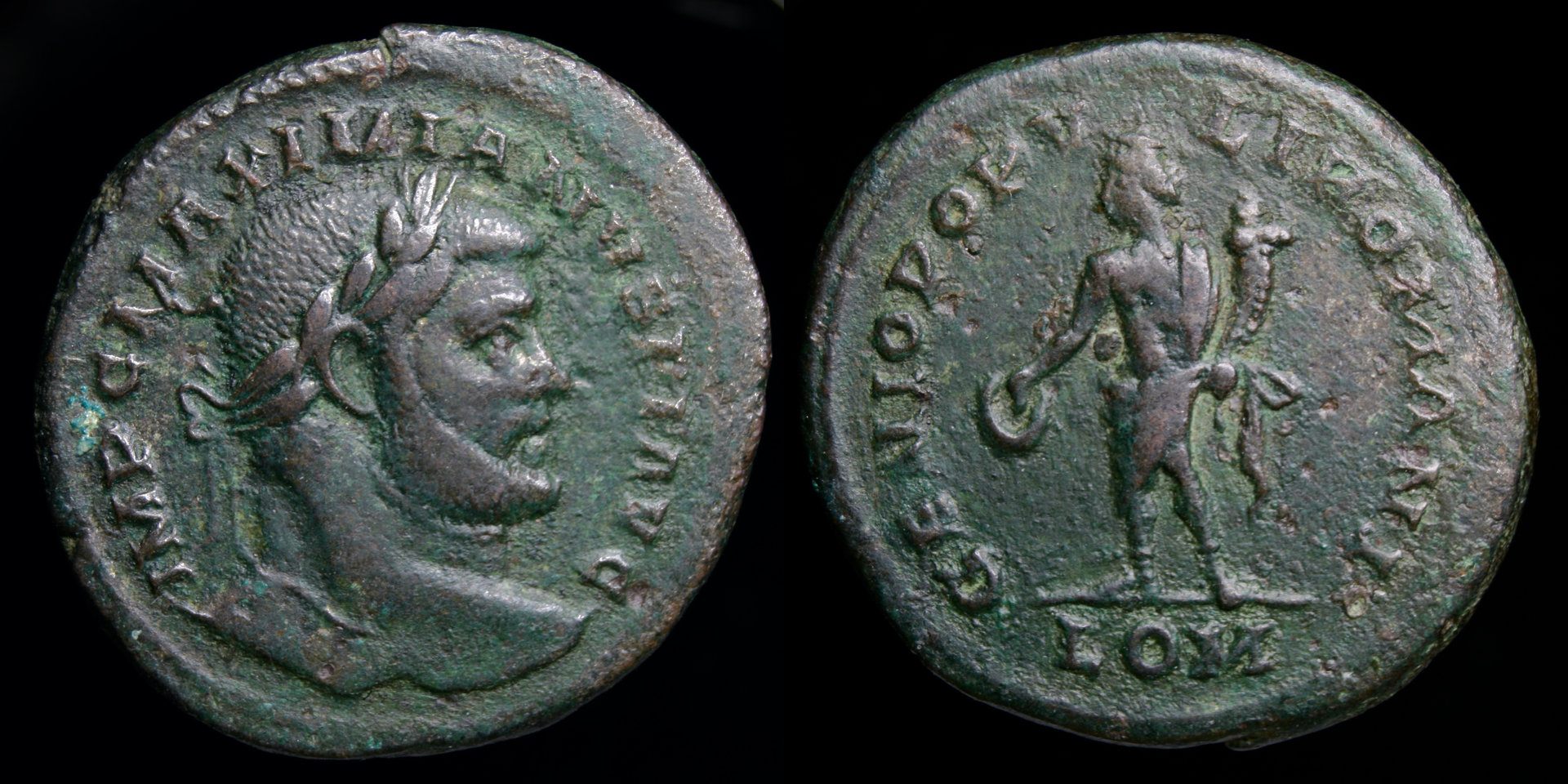 max lon follis.jpg