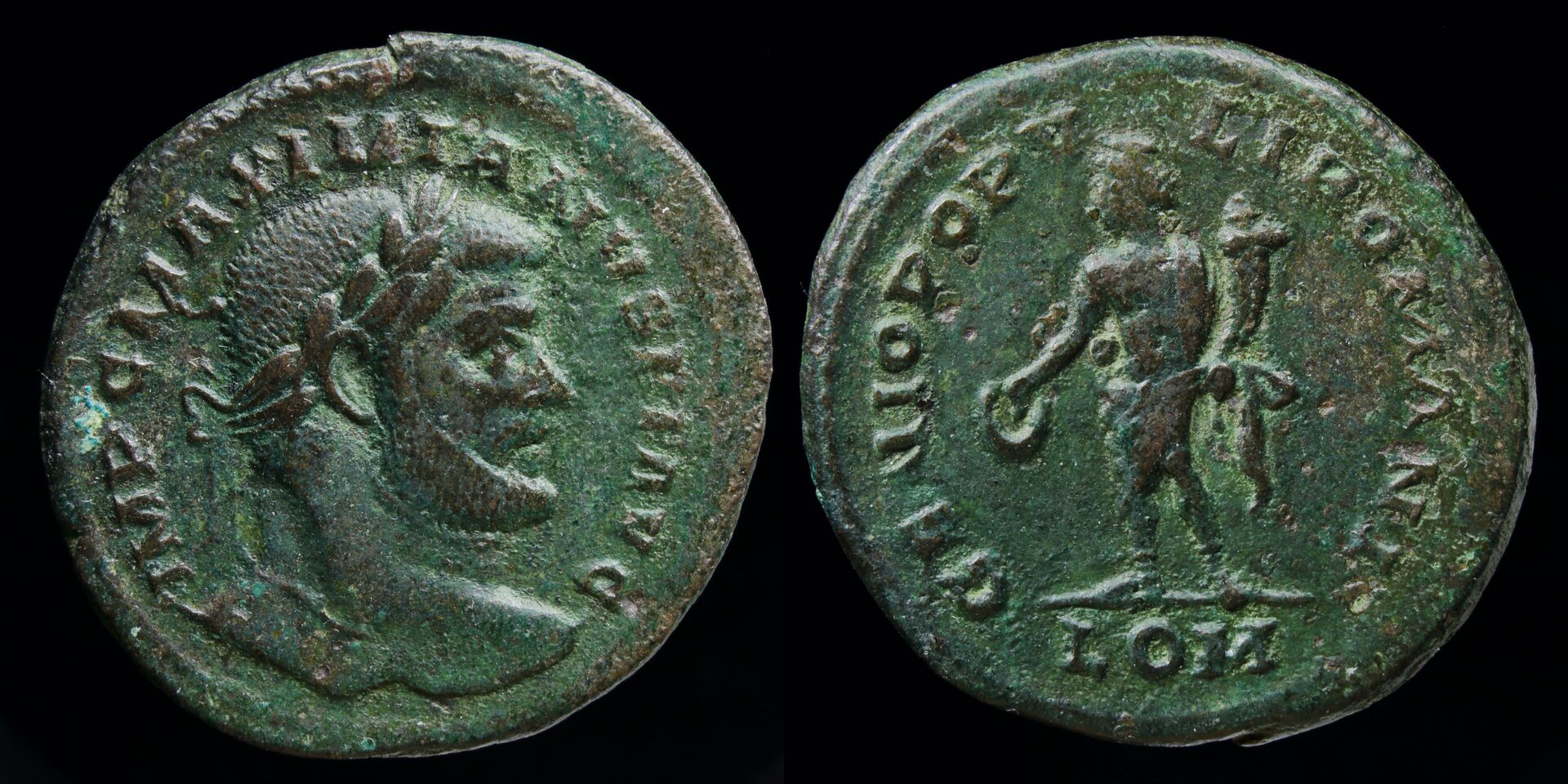 max lon follis.jpg