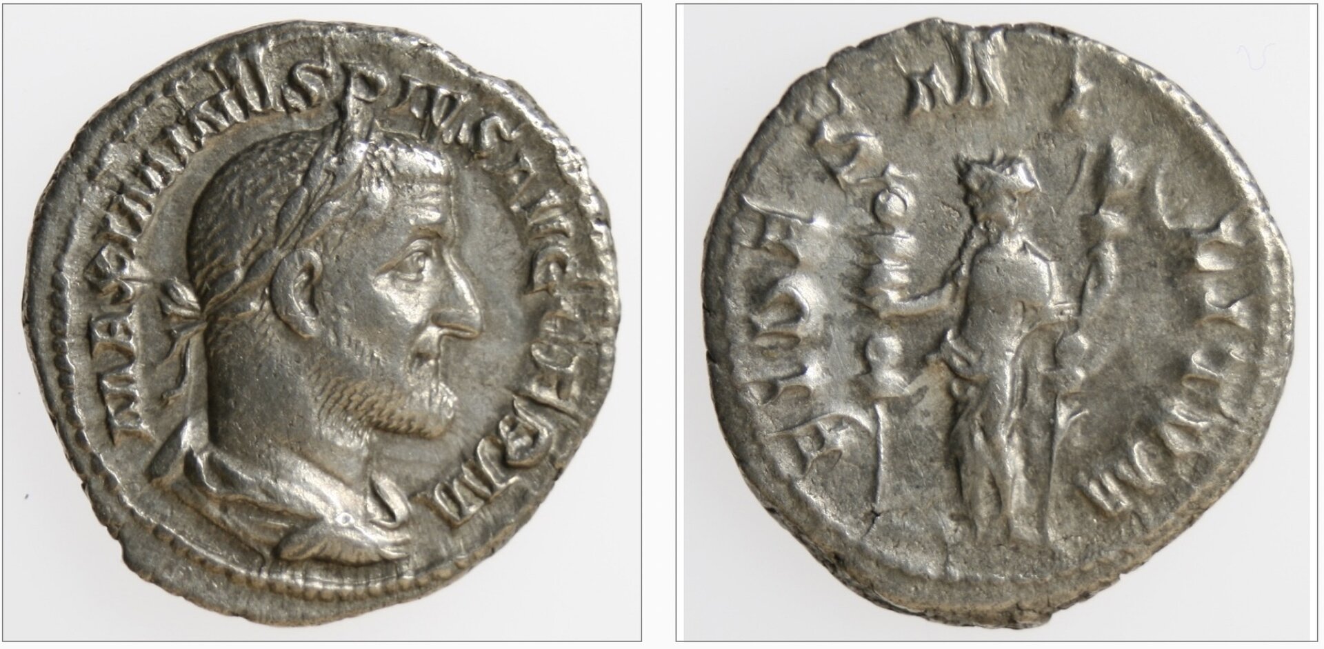max thrax denarius.jpg