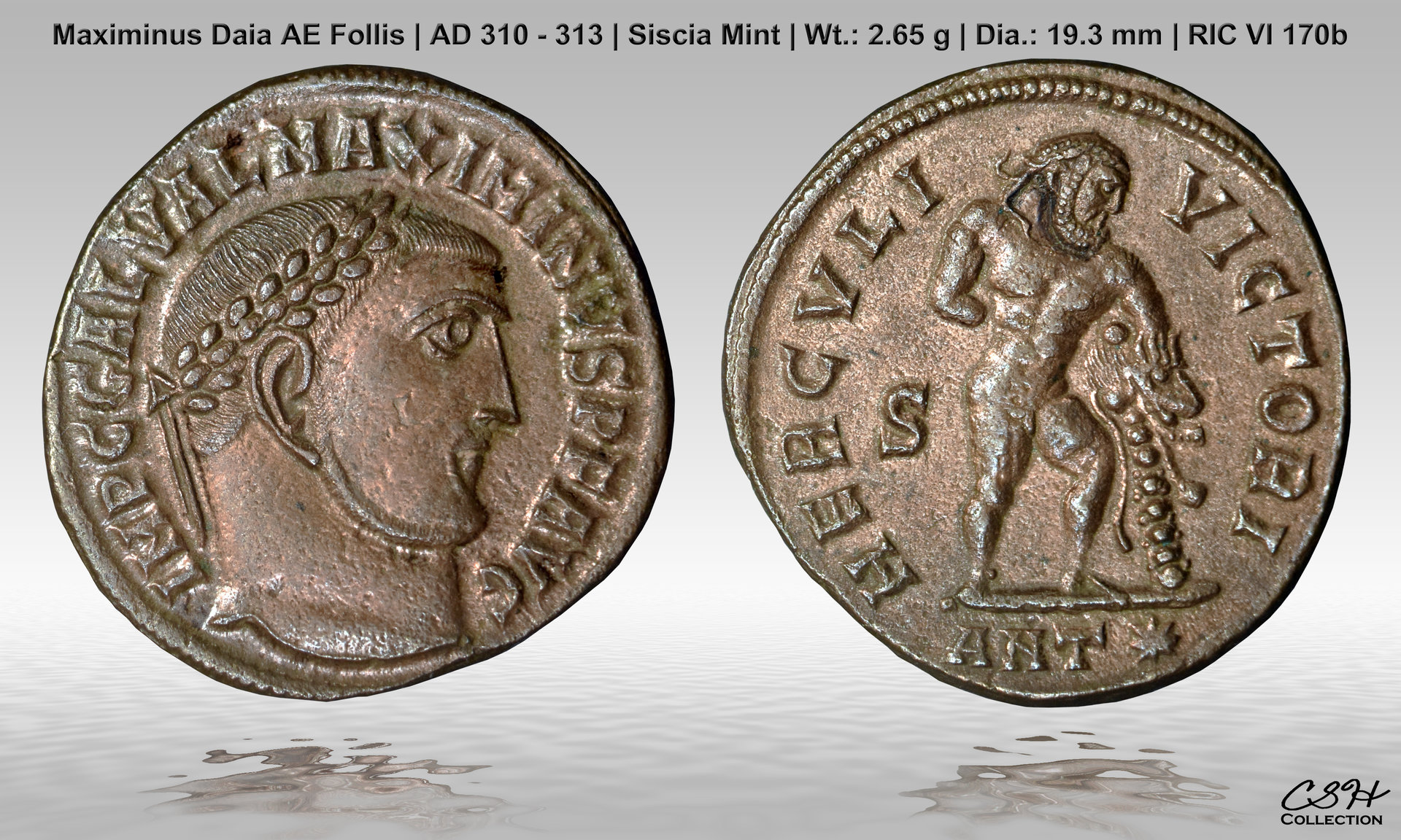 Max_Daia_Follis_Herc_313_CSH.jpg