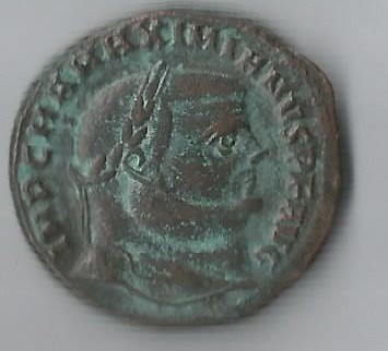 MaxAnt O 001.jpg