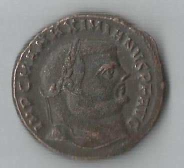 MaxAnt O.JPG