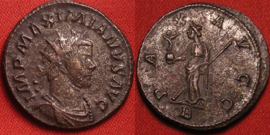 Maximianus Antoninianus from Incitatus SKUmaximianus125.jpg