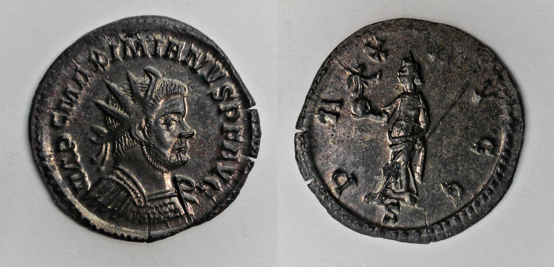 Maximianus Pax.jpg