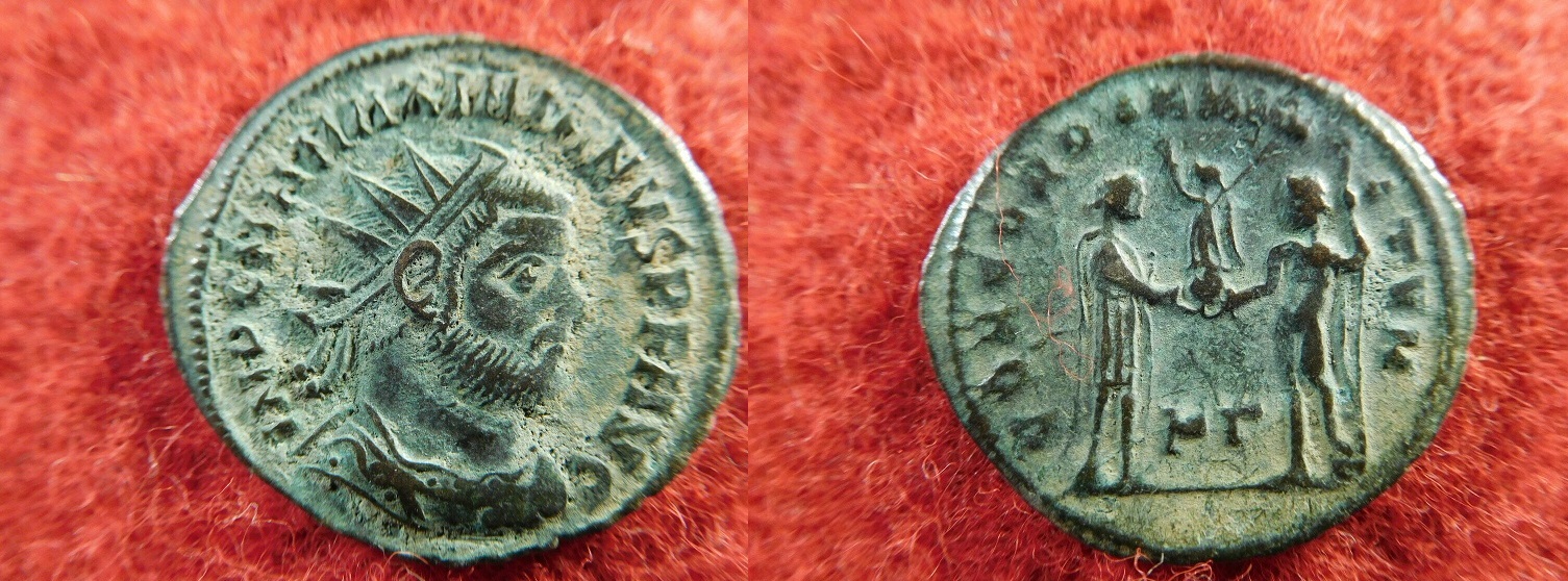 maximianus1.jpg