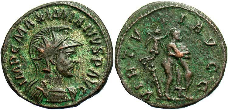 maximianus_462.jpg