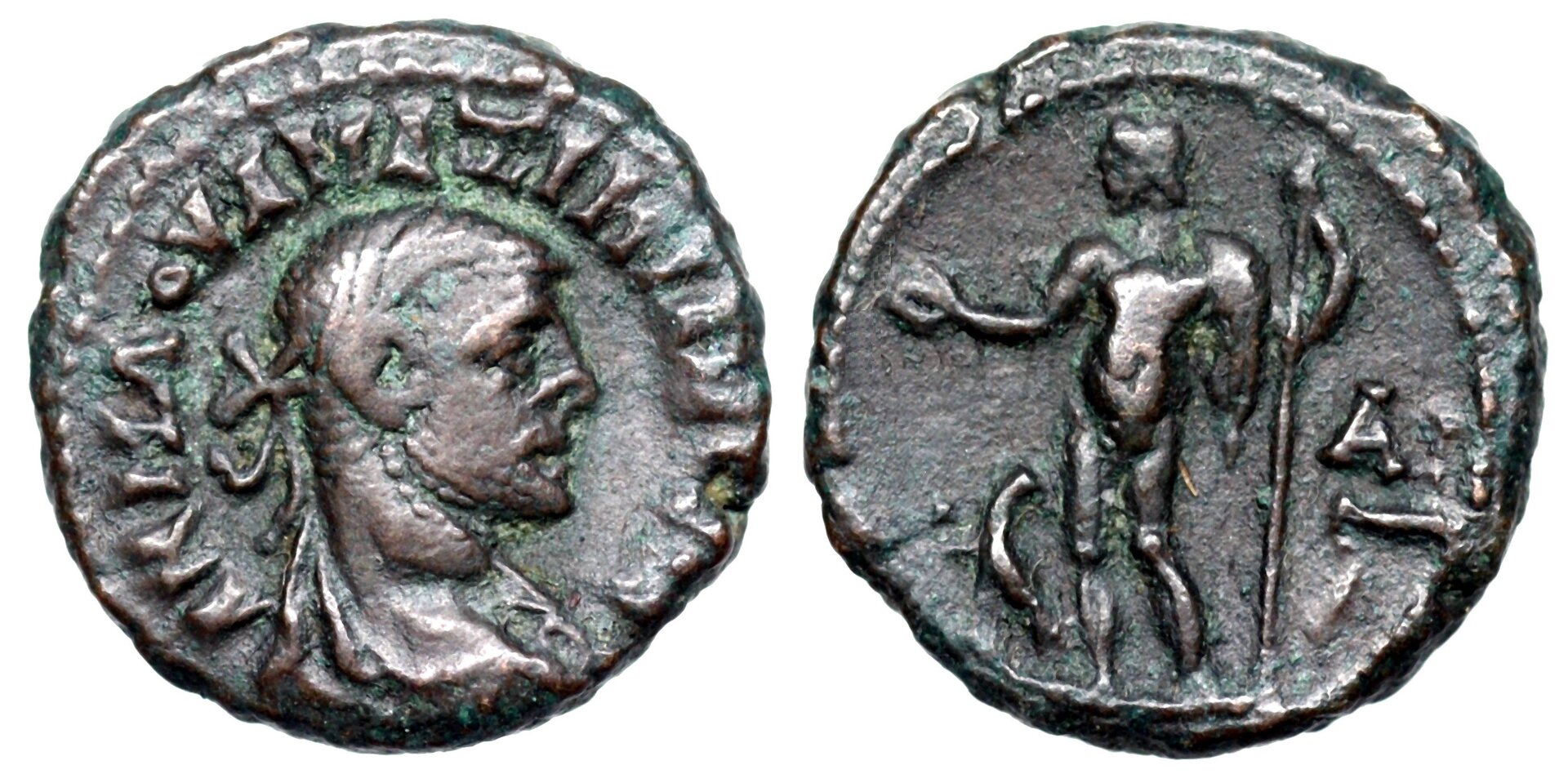 Maximianus_Emmett_4164.jpg