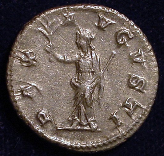 Maximimianus Th Den R.jpg