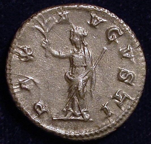 Gaius Julius Verus Maximus | Coin Talk