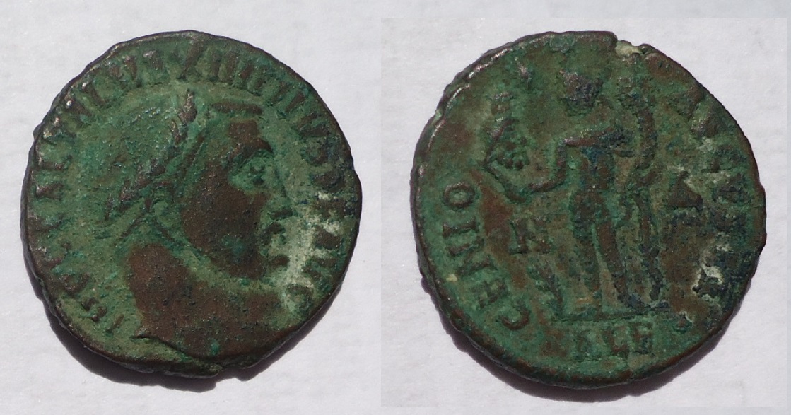 Maximinus II - Follis Genius w Head of Serapis $5 B.O. Feb 2017zz (2).JPG