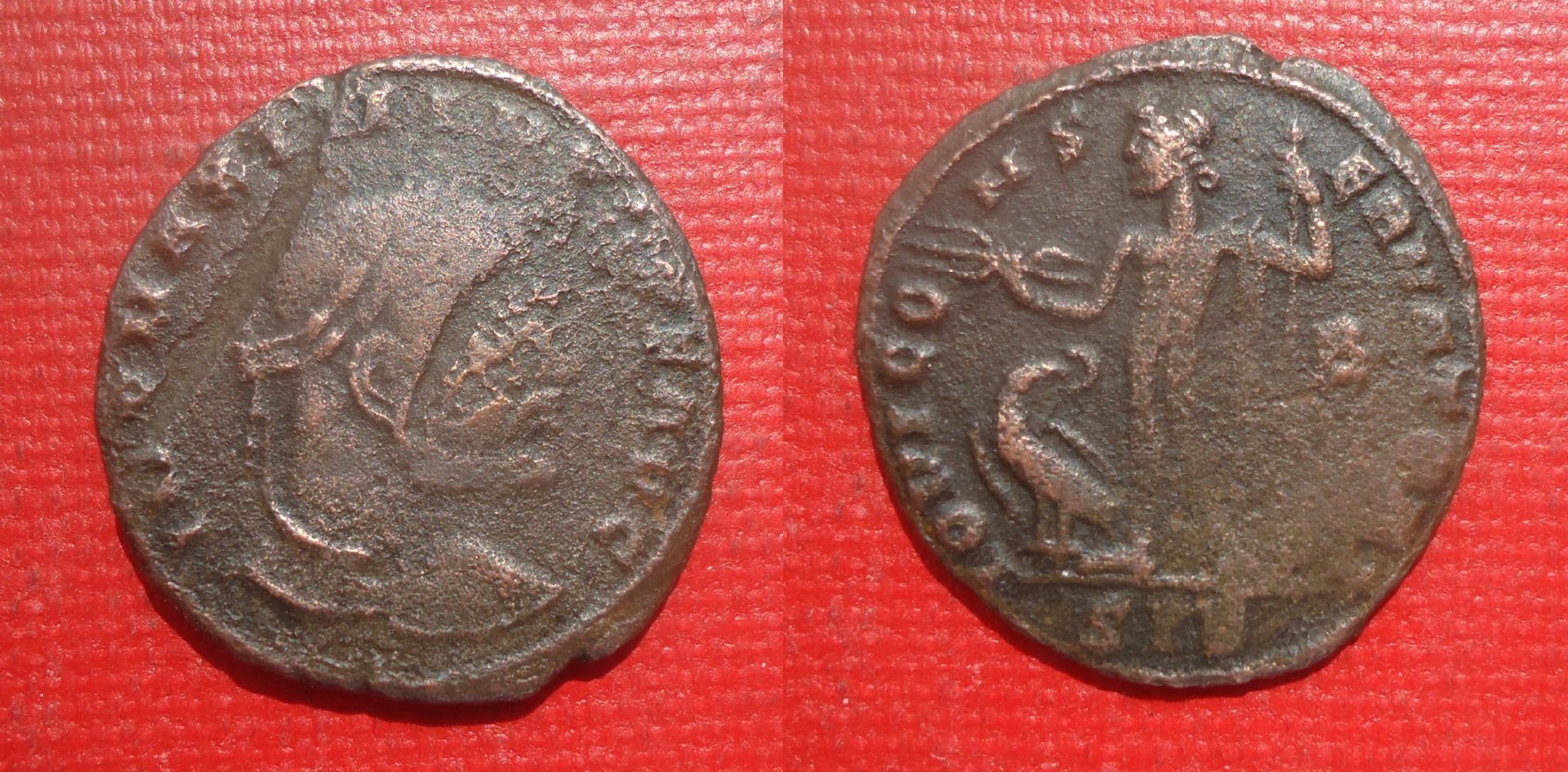 Maximinus II from Lot Feb 2020 (0).jpg