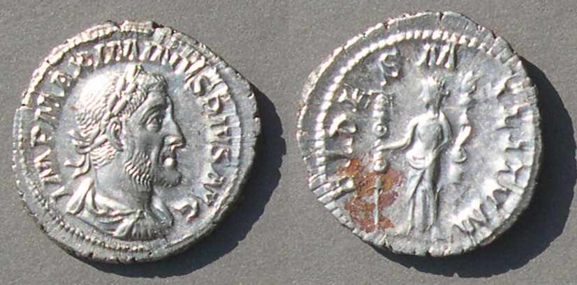 MaximinusFM_6420.jpg