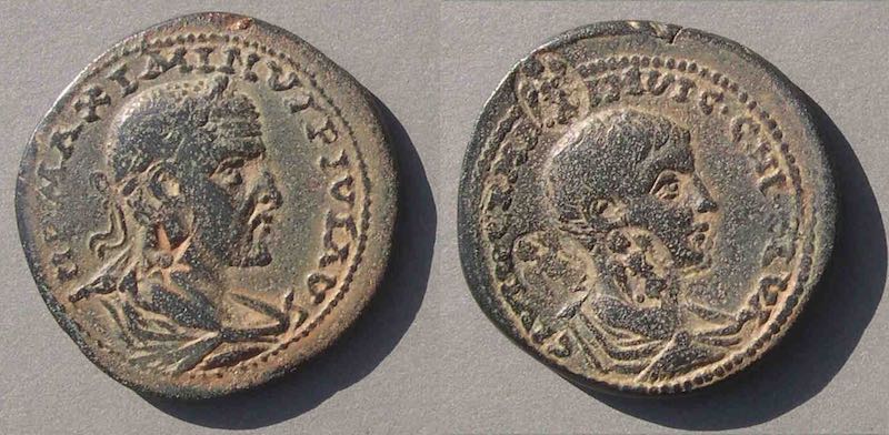 MaximinusMaximus800.jpg